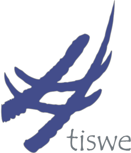 logo_tiswe